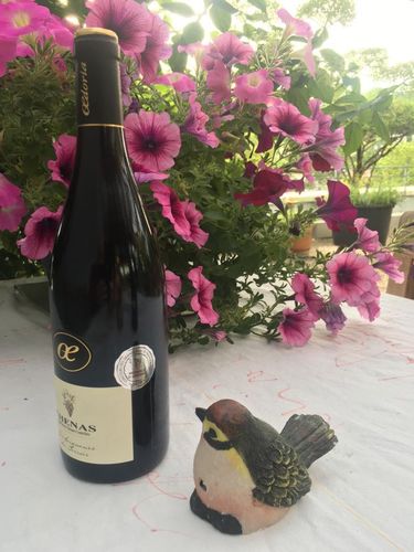 2018 Beaujolais Chenas Les Seigneurs du Terroir Silbermed. Concors Grands Vins de France, Macon